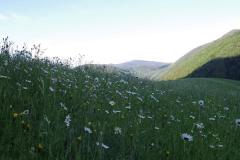 FB_IMG_1592162414095