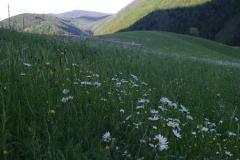 FB_IMG_1592162435357