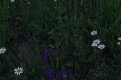 FB_IMG_1592162459844